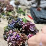 3959228c-07d7-4304-a602-e94dad58dab1