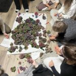 50369a11-55ee-4505-9998-287c53833b9e